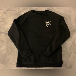Men’s Alphalete Sweater